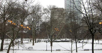 Washington Square from the Busch Reading Room, 2/1/2011. Photo by Michael Seneca.